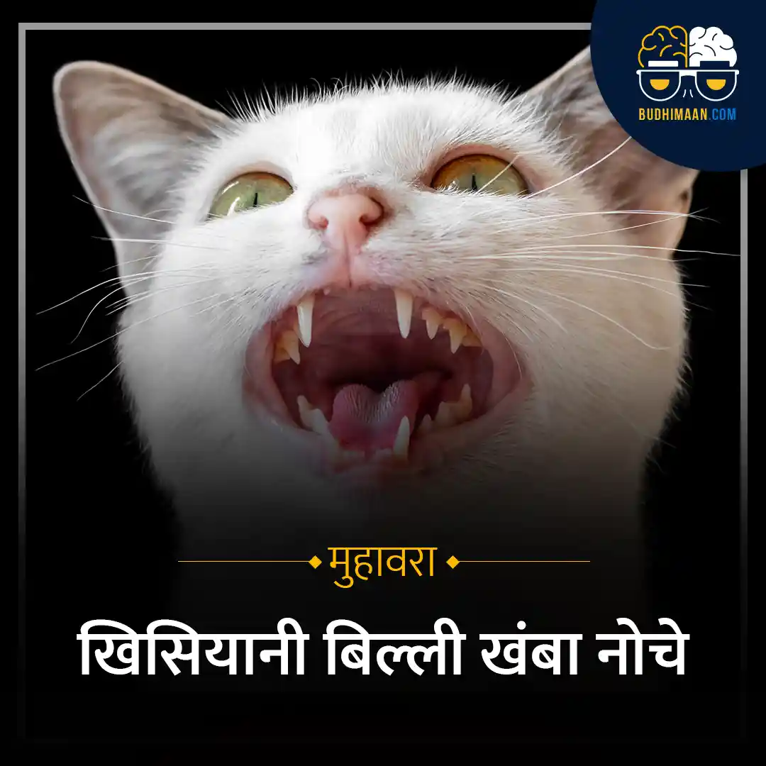 "खिसियानी बिल्ली का चित्र", "अभय के गुस्से का प्रतिनिधित्व करता हुआ चित्र", "गाँव के बुजुर्ग और अभय की बातचीत", "Budhimaan.com हिंदी मुहावरे लोगो"